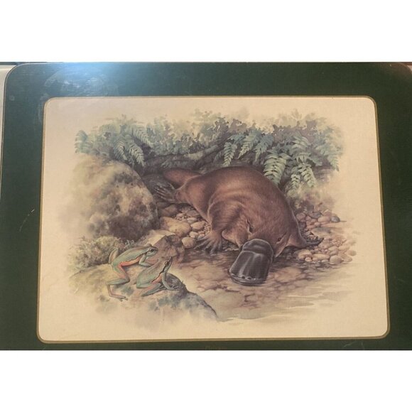 Ashdene of Australia 6 Australian Wildlife Place Mats Cork Back Kids Daycare Fun - Picture 4 of 7